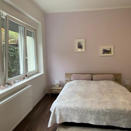 Apartman Zelengaj 萨格勒布 外观 照片